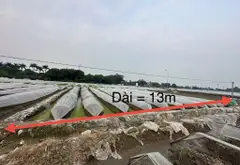Bán đất vuông vắn rộng 416m2, mặt tiền 13m tại xã Phúc Thịnh... Bán đất tại Phúc Thịnh, Hà Nội 03