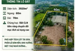 Cần Bán Đất Mặt Tiền Nhị Bình 15, Hóc Môn 3920m2, Chỉ 33.3 Tỷ.... Bán đất tại Đông Thạnh, Hồ Chí Minh 04