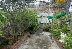 Nhà mặt phố Lạch Tray Hải Phòng - Vị trí kinh doanh đắc địa, tiềm năng sinh lời cao... Bán nhà mặt phố tại Gia Viên, Hải Phòng 11