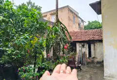 Đất Vàng Trục Chính Làng - Cơ Hội Có 1 Không 2... Bán owner_side tại Thuận An, Hà Nội 02