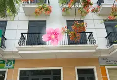 SIÊU PHẨM Shophouse Trung Tâm Evergreen Tràng Duệ - Kinh Doanh Đỉnh Cao, Vỉa Hè Rộng Thoáng... Bán Shophouse tại An Lão, Hải Phòng 01