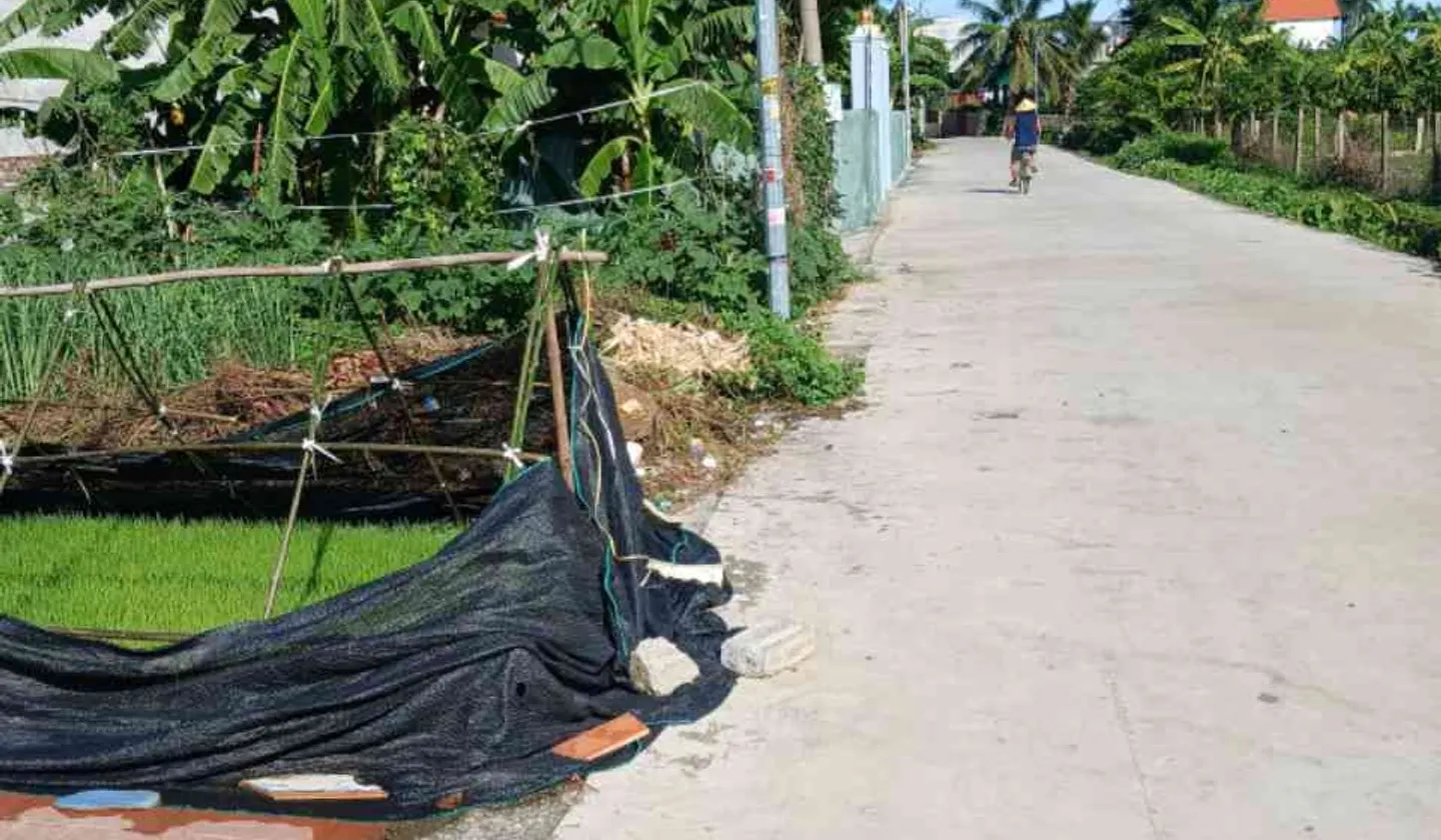 Săn ngay đất đẹp Nam hướng, An Lão, Hải Phòng... Bán đất tại An Lão, Hải Phòng 01