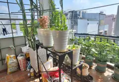 Biệt thự tân cổ điển hai mặt tiền khu dân cư cao cấp Quận 7... Bán nhà mặt phố tại Tân Hưng, Hồ Chí Minh 07