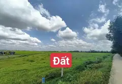 Bán đất 533m² xã Trung Lập, Củ Chi, mặt tiền 12m, pháp lý cơ sở... Bán đất tại Thái Mỹ, Hồ Chí Minh 08
