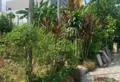 Lô góc rộng 123m² mặt đường Lương Quán, An Dương, cơ hội đầu tư và an cư lý tưởng... Bán đất tại An Dương, Hải Phòng 03
