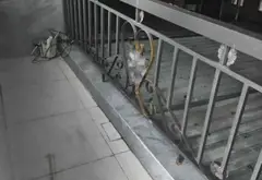 💥 Siêu phẩm 2 tầng 5x25 tại Hóc Môn, sổ hồng riêng, ô tô thông, 5.3 Tỷ... Bán nhà riêng tại Đông Thạnh, Hồ Chí Minh 07