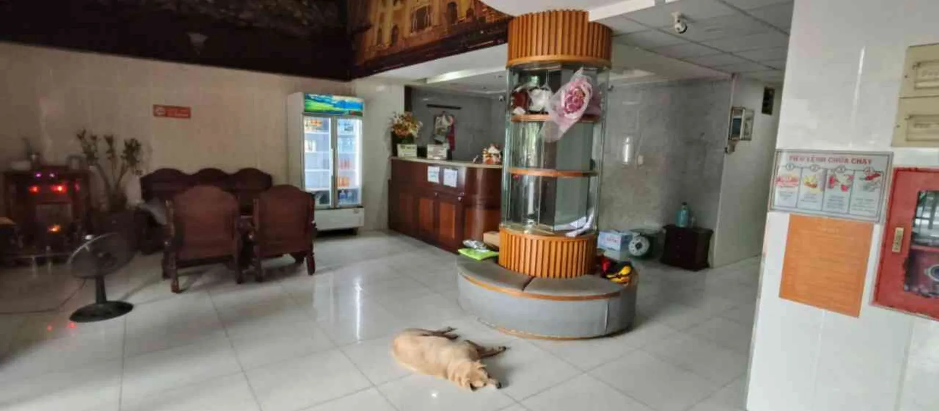 Nhà 6 tầng 40 phòng gần Vạn Hạnh Mall, Lê Hồng Phing,Quận 10, diện tích 282m2... Bán nhà riêng tại Hòa Hưng, Hồ Chí Minh 01