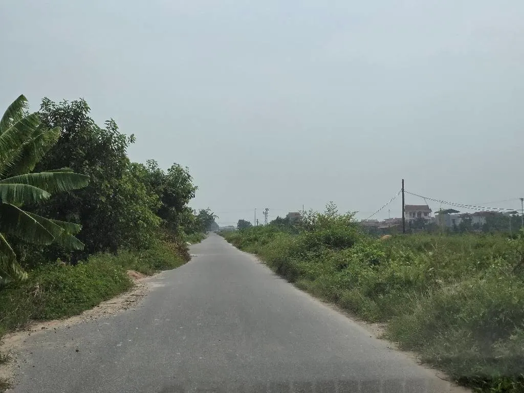 Đất Phân Lô Gần Vành Đai 4 - Khu Phố Sầm Uất xã văn giang... Bán đất tại Tân Hưng, Hưng Yên 01