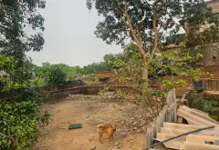 Bán đất vuông đẹp khu Đại Đồng, Bắc Ninh, diện tích 121.3m², thuận tiện đầu tư... Bán đất tại Đại Đồng, Bắc Ninh 07