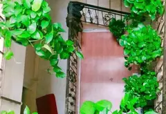 Bán nhà phố 5 tầng có thang máy, Trần Thị Nghỉ, Ciitylang, Gò Vấp, 27 tỷ... Bán nhà mặt phố tại Hạnh Thông, Hồ Chí Minh 02