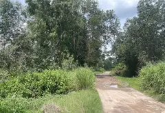 Bán đất mặt tiền đường Trần Hải Phụng, diện tích 1270 m2... Bán đất tại Tân Vĩnh Lộc, Hồ Chí Minh 06