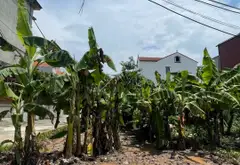 Bán đất phi liệt văn giang 100m2 lô góc... Bán đất tại Văn Giang, Hưng Yên 04