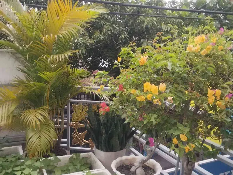 Mt kinh doanh căn góc 2 mt,tân chánh hiệp 08, p Trung Mỹ Tây quận 12 có thang máy , giá 11,5 tỷ... Bán nhà mặt phố tại Trung Mỹ Tây, Hồ Chí Minh 01