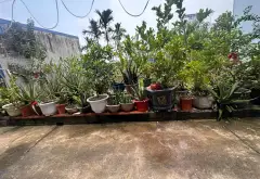 Cơ hội vàng sở hữu đất trung tâm Kiến An giá tốt hiếm có... Bán đất tại Phù Liễn, Hải Phòng 01