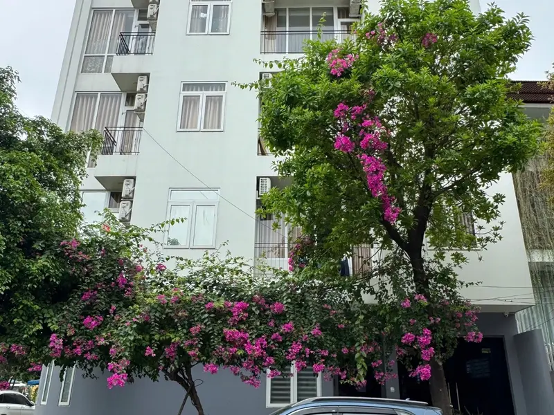 22 PHÒNG CĂN HỘ – DÒNG TIỀN 308TR/THÁNG – MT CHÍNH HỮU, SƠN TRÀ - 57.5 tỷ 0762,658,925... Bán căn hộ chung cư tại Sơn Trà, Đà Nẵng 01