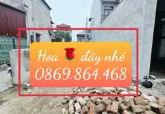Lô góc 3 mặt tiền sầm uất tại Thanh Trí, điểm vàng kinh doanh... Bán đất tại Kim Anh, Hà Nội 04