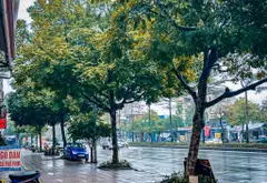 MẶT PHỐ NGÔ GIA TỰ 100m2- KINH DOANH - 7 TẦNG THANG MÁY - NỘI THẤT CỰC VÍP - HAI THOÁNG TRƯỚC SAU... Bán nhà mặt phố tại Việt Hưng, Hà Nội 03