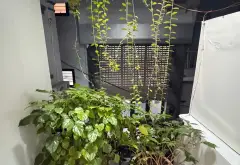 TRƯỚC NHÀ SÂN RỘNG ĐỂ 10 CÁI XE MÁY-GẦN PHỐ NGUYỄN LƯƠNG BẰNG-NGÃ 6 Ô CHỢ DỪA-5 TẦNG ĐẸP-9 TỶ... Bán nhà riêng tại Đống Đa, Hà Nội 03