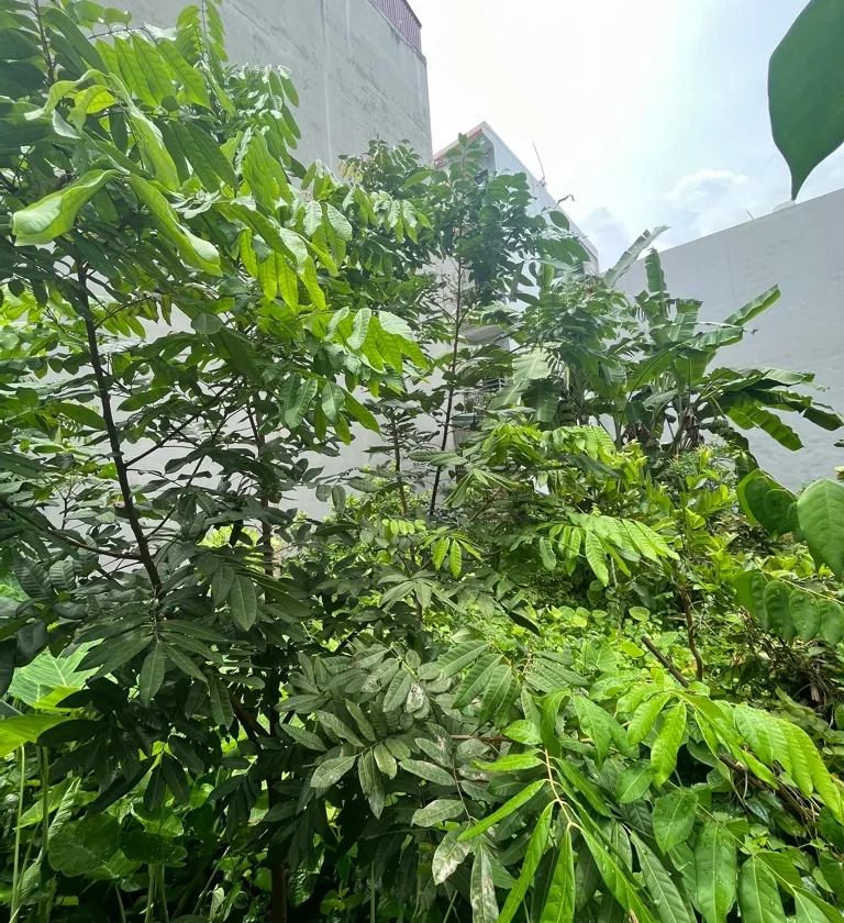 Bán đất mặt tiền 7m tại Đông Dư, diện tích 154m2, vị trí kinh doanh đông dân, ô tô tránh... Bán owner_side tại Bát Tràng, Hà Nội 01