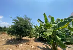 Bán nhà mặt phố rộng 1787m2 tại Nguyễn Văn Tạo giá 53 tỷ... Bán nhà mặt phố tại Hiệp Phước, Hồ Chí Minh 03
