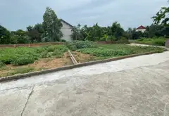 Bán đất 100m2 full thổ cư tại xã Kim Anh, Hà Nội... Bán đất tại Kim Anh, Hà Nội 02