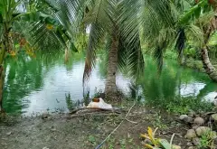 Đất rộng mặt tiền đường T11 Bình Chánh giá tốt... Bán đất tại Bình Chánh, Hồ Chí Minh 10