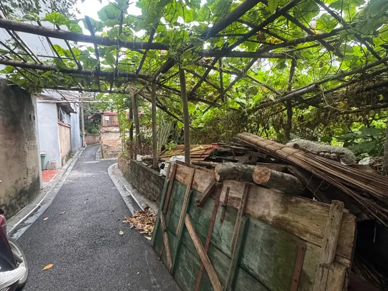 🔥 KHU ĐÔNG( VIỆT HÙNG )– ĐÔNG ANH- HÀ NỘI 🔥
🏡 Diện tích: 98m², full thổ cư, mặt tiền 5,1m... Bán đất tại Đông Anh, Hà Nội 01