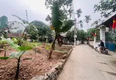 Cơ hội vàng sở hữu đất nở hậu tại Vạn Phúc, Thanh Trì giá tốt hiếm có... Bán đất tại Nam Phù, Hà Nội 03
