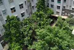 Cơ hội hiếm có: Căn hộ EHome 3 giá tốt chỉ 2.55 tỷ - Vị trí đắc địa tại Bình Tân... Bán căn hộ chung cư tại An Lạc, Hồ Chí Minh 18