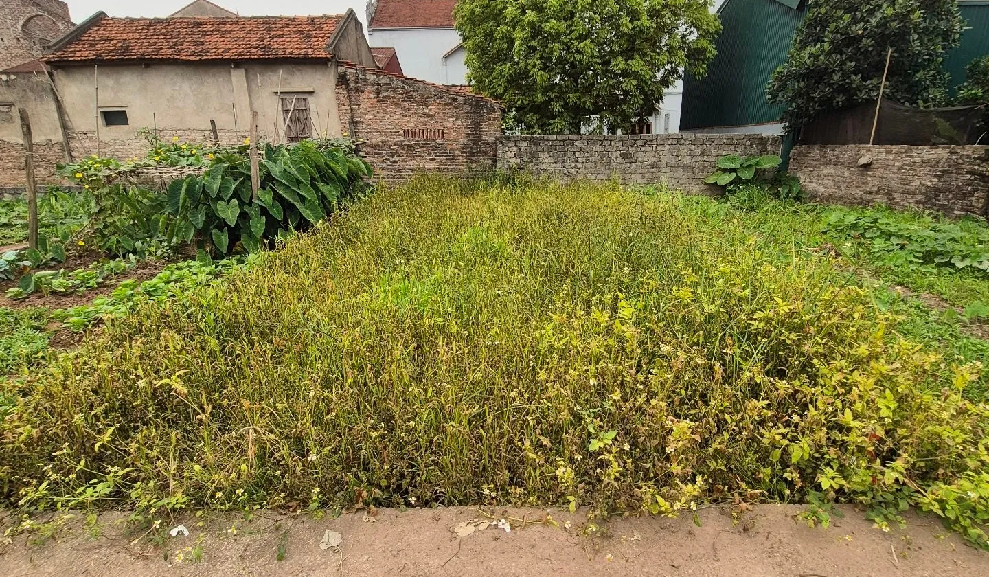 Đất nở hậu Chương Dương - Đầu tư hay an cư đều tuyệt!... Bán đất tại Chương Dương, Hà Nội 01