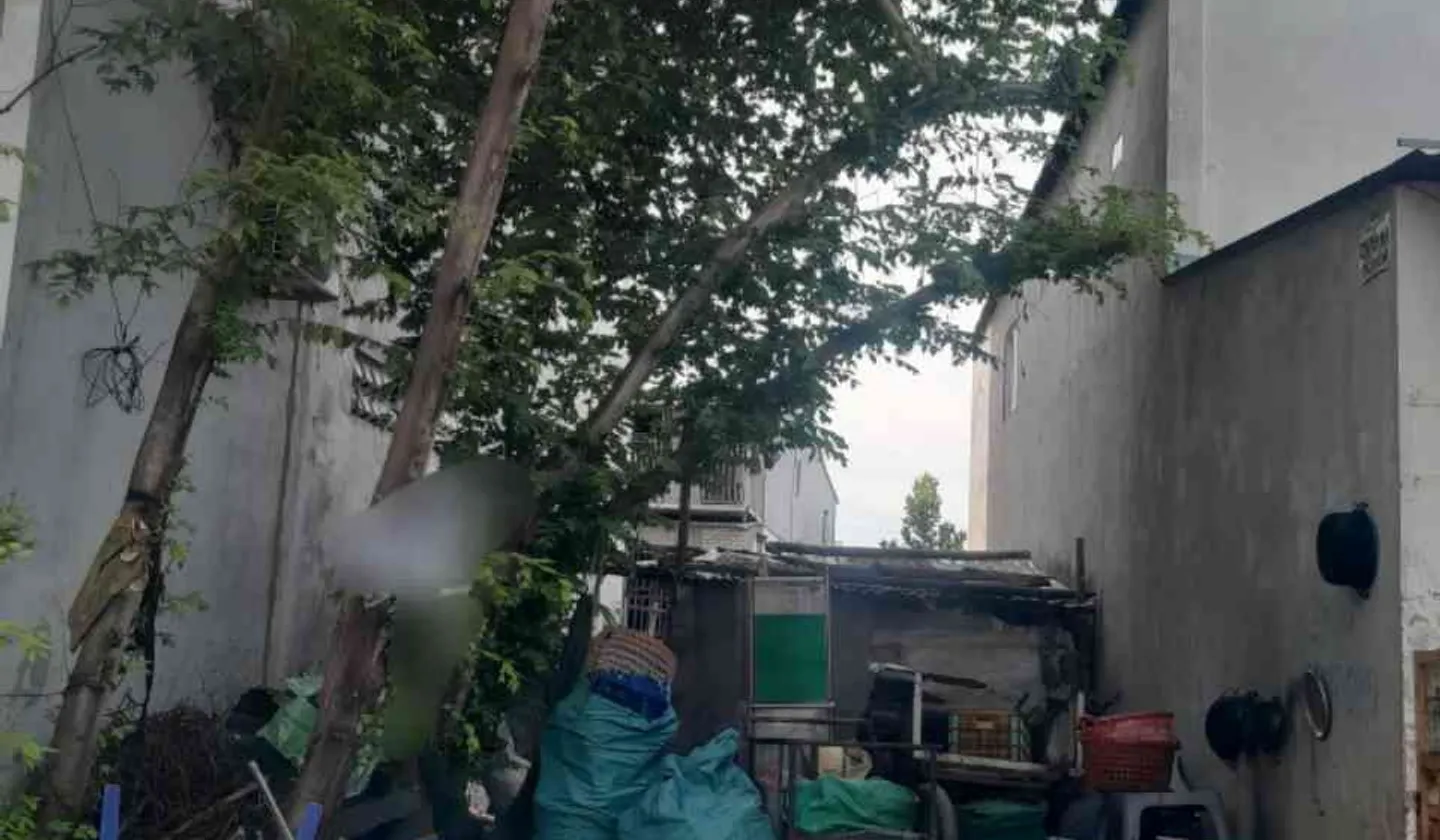 Bán đất hai mặt tiền tại khu dân cư 584 Huỳnh Bá Chánh, Bình Chánh, diện tích 95.5m²... Bán đất tại Tân Nhựt, Hồ Chí Minh 01