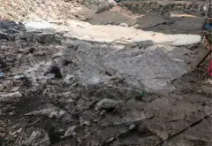 Đất mặt tiền 12m khu dân cư Đông Hưng Thuận Quận 12... Bán đất tại Đông Hưng Thuận, Hồ Chí Minh 07