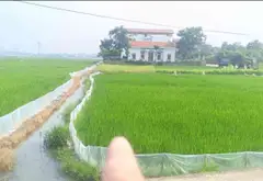 Cơ hội hiếm có sở hữu đất thổ cư đẹp tại Nghi Khúc, giá trị tăng vọt... Bán đất tại Mão Điền, Bắc Ninh 01