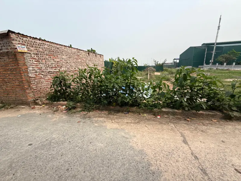 Đất Vuông Đẹp Full Thổ Gần KCN Nội Bài - Hương Đình Đoài... Bán đất tại Sóc Sơn, Hà Nội 01