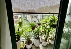 Căn hộ 3 ngủ tại chung cư Feliz Home giá 8,1 tỷ... Bán căn hộ chung cư tại Tương Mai, Hà Nội 08