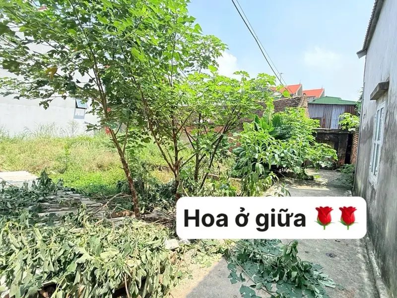 🏡 BÁN ĐẤT TẠI PHƯỜNG TỪ SƠN, BẮC NINH – GIÁ 1,XX tỷ... Bán đất tại Từ Sơn, Bắc Ninh 01