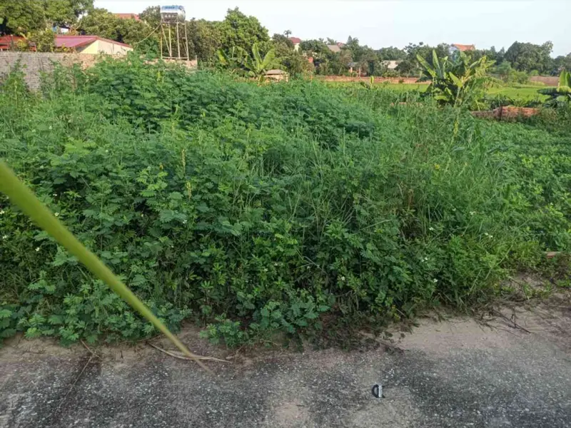 Bán đất 77,3m2 tại xã Vụ Bản, hai mặt đường ô tô ra vào thuận tiện... Bán đất tại Kim Anh, Hà Nội 01