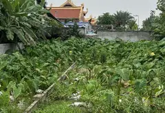 Đất nền khu công nghiệp Tràng Duệ 3 - Vị trí giao thông thuận tiện... Bán đất tại An Trường, Hải Phòng 02