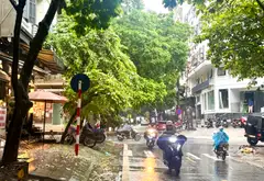 Bán nhà mặt phố vị trí đắc địa tại Võ Văn Dũng, diện tích 48m², 9 tầng có thang máy... Bán nhà mặt phố tại Đống Đa, Hà Nội 01