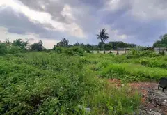 2 sào đất LUK Lê ngung giá 24 tỷ tl... Bán nhà mặt phố tại Tân Tạo, Hồ Chí Minh 08