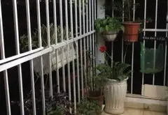 Bán chung cư mini 65m² tại phường Khương Đình, Hà Nội với tiện ích đầy đủ và vị trí thuận lợi... Bán chung cư mini tại Khương Đình, Hà Nội 06