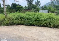 ĐẤT - TÁI ĐỊNH CƯ - Trung Giã, Sóc Sơn - vị trí đẹp... Bán đất tại Trung Giã, Hà Nội 01