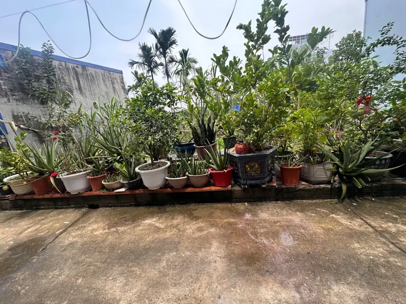 Đất vàng trung tâm Kiến An tiềm năng đầu tư đẳng cấp... Bán đất tại Phù Liễn, Hải Phòng 01