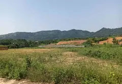 +🔥🔥🔥 Đất nghỉ dưỡng thôn Phúc Xuân - Trung Giã... Bán đất tại Trung Giã, Hà Nội 03