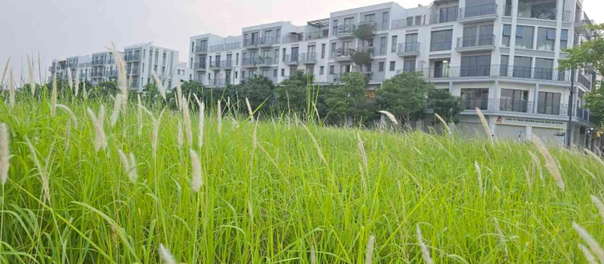 🎯🌏 HƠN 30 TỶ, BÁN NHÀ KĐT CAO CẤP THE MANOR NGUYỄN XIỂN 75M2 X 5 TẦNG.GẦN LINH ĐÀM - VÀNH ĐAI 3.... Bán biệt thự, liền kề tại Định Công, Hà Nội 01