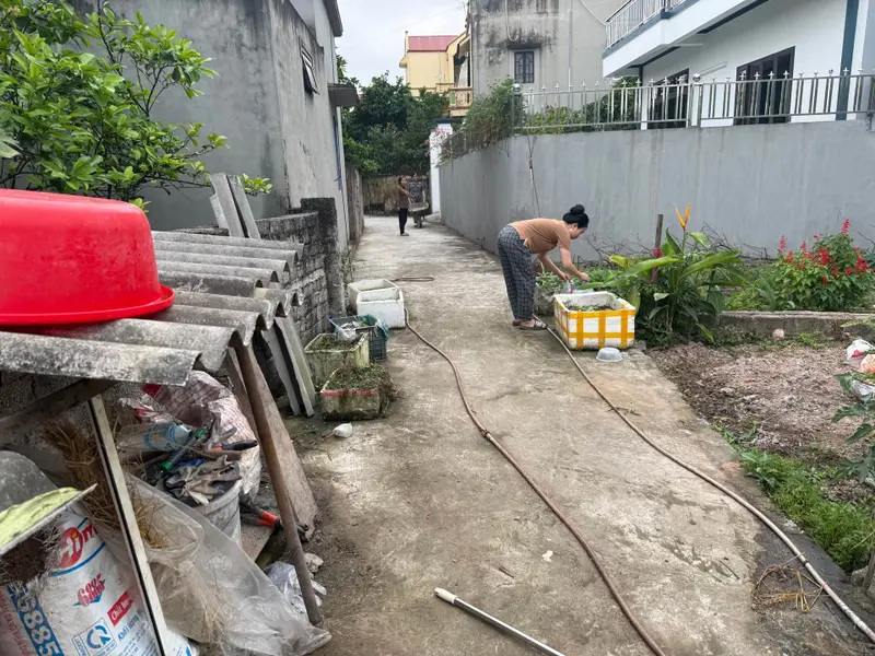 Cơ Hội Sở Hữu Đất Thượng Phúc Vị Trí Vàng Gần Sân Olympic Trống Đồng... Bán đất tại Thượng Phúc, Hà Nội 01