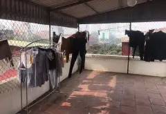 Bán nhà riêng 6 tầng tại Mai Dịch với 9 phòng cho thuê, tạo dòng tiền ổn định... Bán nhà riêng tại Cầu Giấy, Hà Nội 05