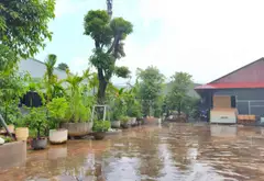 Nhà mặt phố Tân Đông Hiệp siêu rộng, kinh doanh đỉnh... Bán nhà mặt phố tại Tân Đông Hiệp, Hồ Chí Minh 05