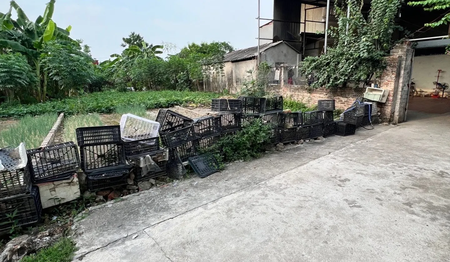 Mảnh Đất Hiếm Hai Mặt Thoáng Sáng, Tiện Ích Đầy Đủ Tại Khu Vực Thuận Thành... Bán đất tại Ninh Xá, Bắc Ninh 01