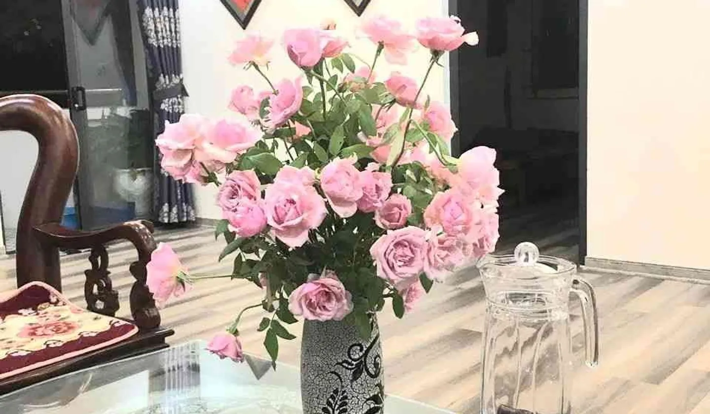 Bán căn hộ chính chủ sổ đỏ tại Lê Trọng Tấn Hà Đông... Bán căn hộ chung cư tại Hà Đông, Hà Nội 01